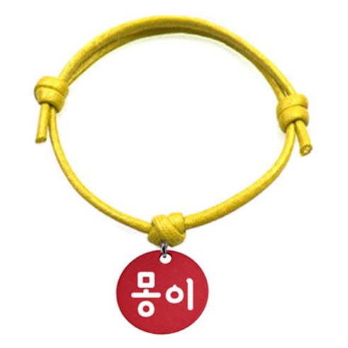 펫츠룩 굿모닝 옐로 반려동물 목걸이 M + 알미늄원형 팬던트 S, 레드(몽이), 1개