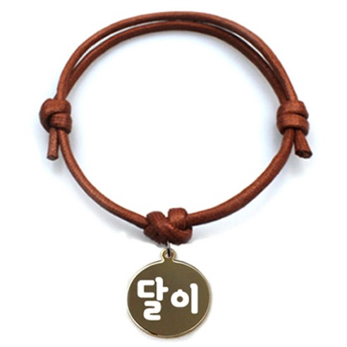 펫츠룩 굿모닝 카라멜 반려동물 목걸이 M + 메탈원형 팬던트 M, 골드(달이), 1개