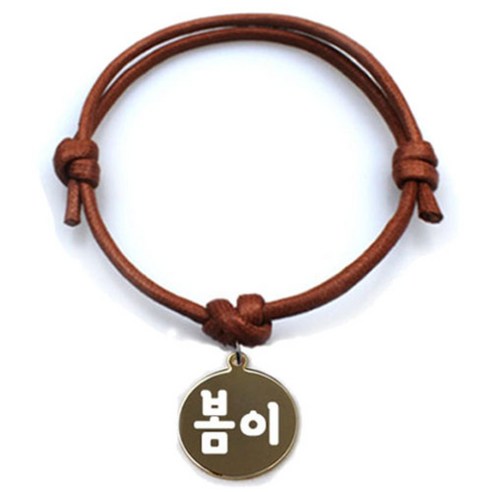 펫츠룩 굿모닝 카라멜 반려동물 목걸이 M + 메탈원형 팬던트 S, 골드(봄이), 1개