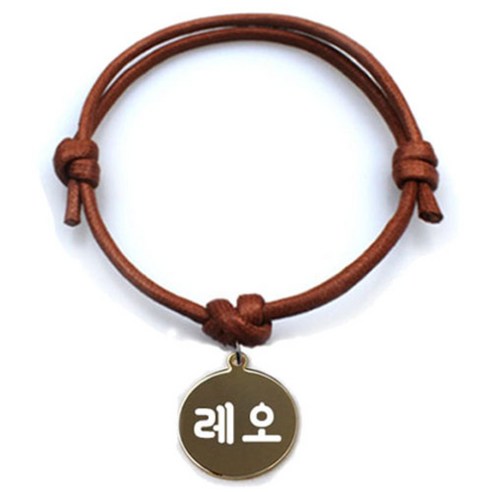 펫츠룩 굿모닝 카라멜 반려동물 목걸이 M + 메탈원형 팬던트 S, 골드(레오), 1개