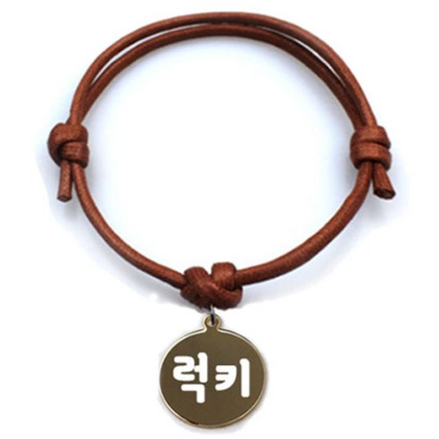 펫츠룩 굿모닝 카라멜 반려동물 목걸이 M + 메탈원형 팬던트 S, 골드(럭키), 1개