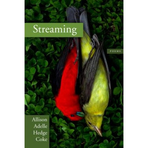 Streaming Paperback, Coffee House Press