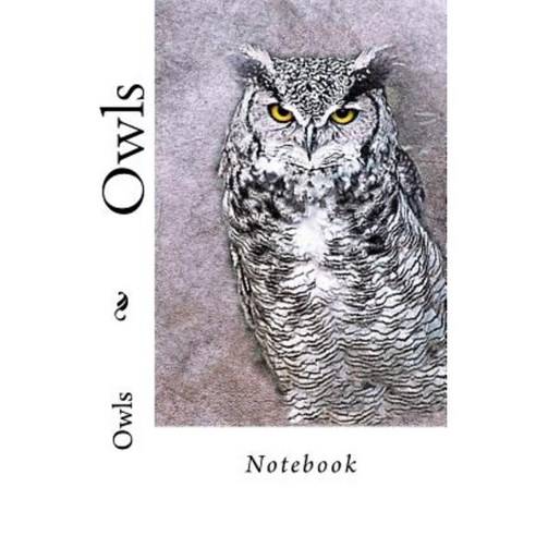 Owls: Notebook Paperback, Createspace Independent Publishing Platform ...