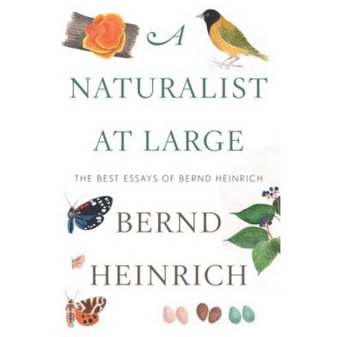 A Naturalist at Large: The Best Essays of Bernd Heinrich Hardcover, Houghton Mifflin
