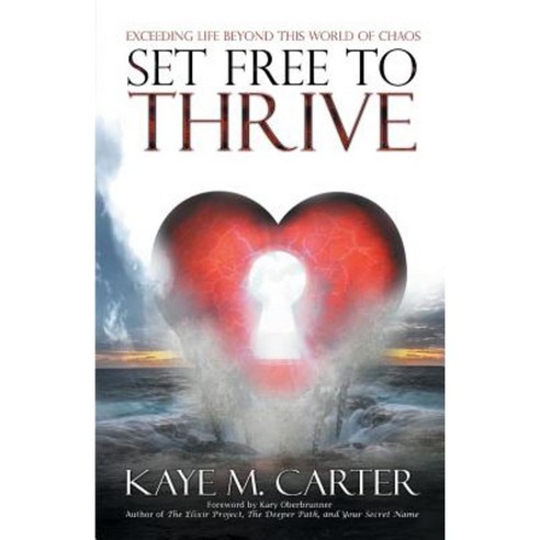 Set Free to Thrive: Exceeding Life Beyond This World of Chaos Paperback, Author Academy Elite