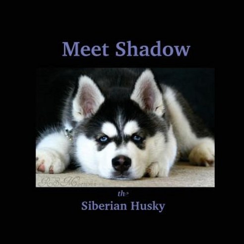 Meet Shadow the Siberian Husky: Meet Shadow Paperback, Createspace Independent Publishing Platform