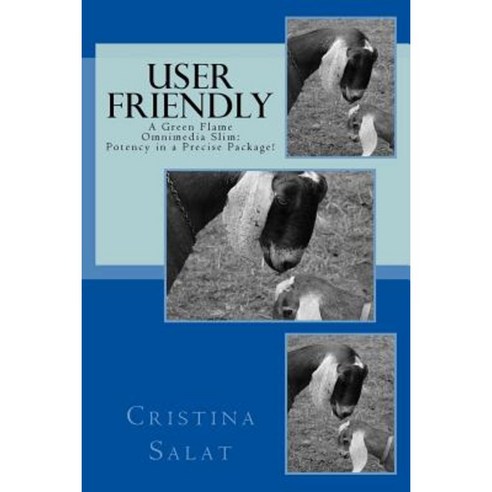 User Friendly Paperback, Createspace Independent Publishing Platform