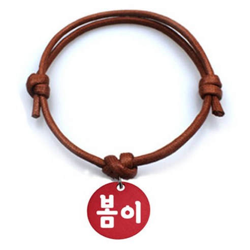펫츠룩 굿모닝 카라멜 반려동물 목걸이 M + 알미늄원형 팬던트 M, 레드(봄이), 1개