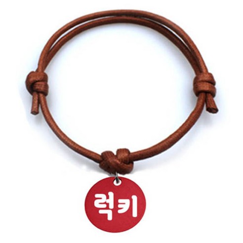 펫츠룩 굿모닝 카라멜 반려동물 목걸이 M + 알미늄원형 팬던트 M, 레드(럭키), 1개