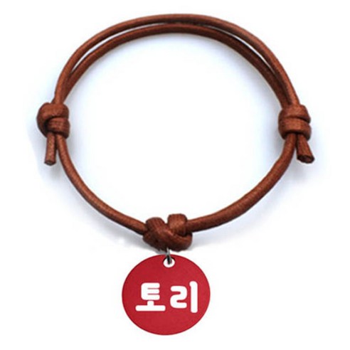 펫츠룩 굿모닝 카라멜 반려동물 목걸이 M + 알미늄원형 팬던트 M, 레드(토리), 1개