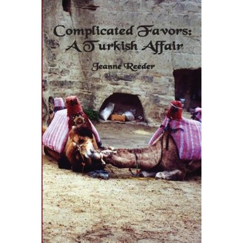 Complicated Favors: A Turkish Affair Paperback, Booksurge Publishing