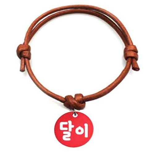 펫츠룩 굿모닝 카라멜 반려동물 목걸이 M + 알미늄원형 팬던트 S, 레드(달이), 1개