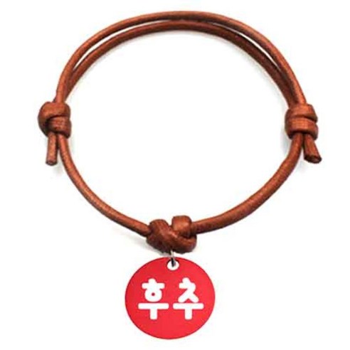 펫츠룩 굿모닝 카라멜 반려동물 목걸이 M + 알미늄원형 팬던트 S, 레드(후추), 1개