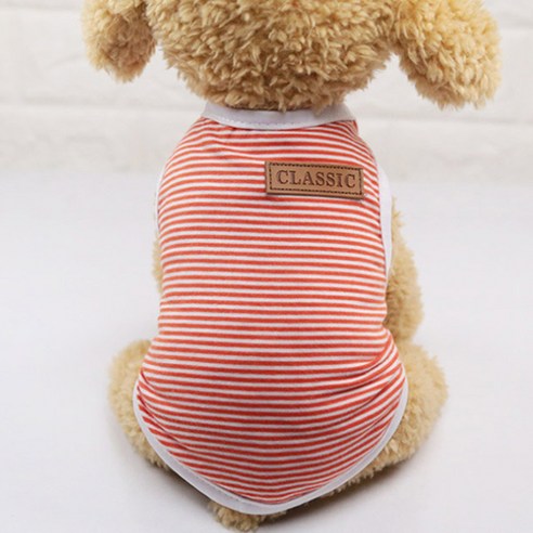아리코 고양이 앤 강아지 모던 코튼 스트라이프 티셔츠, 오렌지
