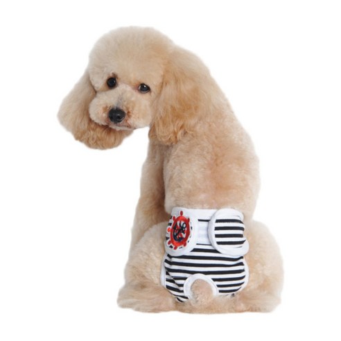 아리코 고양이&강아지 생리위생팬티 블랙, XL, 1개