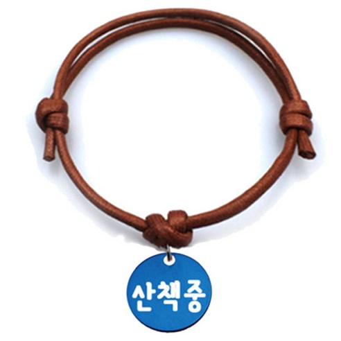 펫츠룩 반려동물 굿모닝 목걸이 카라멜M 원형블루M, 산책중, 1개