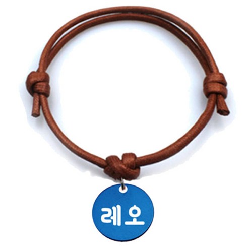 펫츠룩 반려동물 굿모닝 목걸이 카라멜M 원형블루M, 레오, 1개