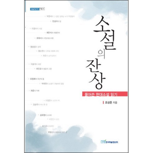 소설의 잔상, 한국학술정보