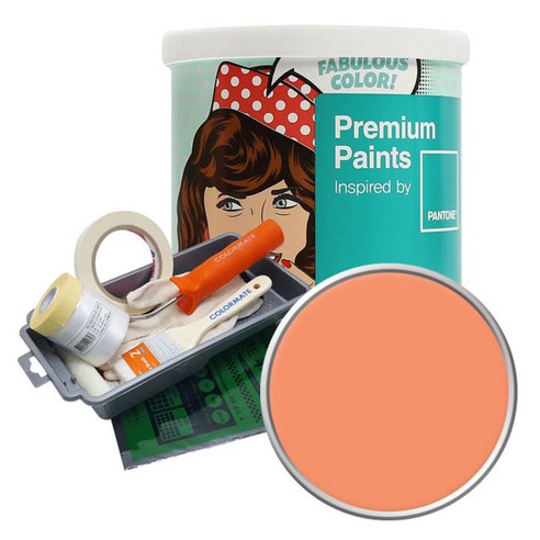 노루페인트 팬톤 내부용 실내 벽면 페인트 무광 1L 세트, Cadmium Orange(15-1340)