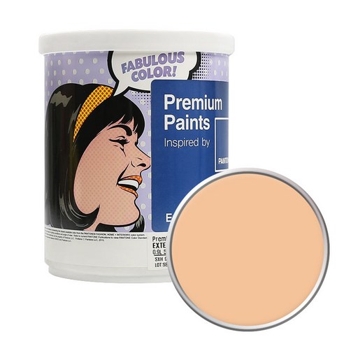 노루페인트 팬톤 외부용 실외 저광 페인트 1L, 13-1022 Caramel Cream, 1개