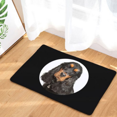 노랜드 Photo dog Style 다용도 발매트, 2