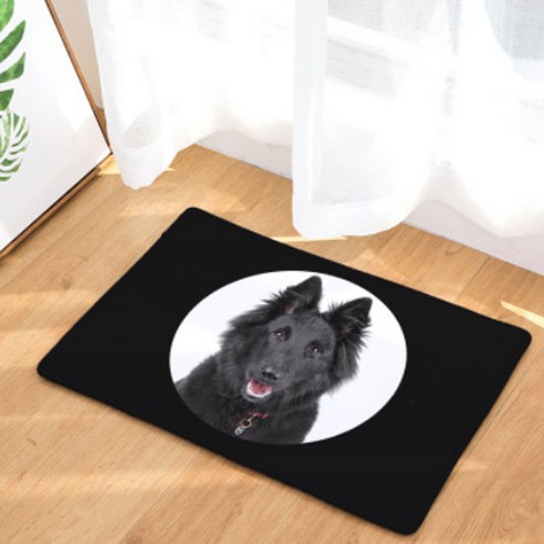 노랜드 Photo dog Style 다용도 발매트, 12