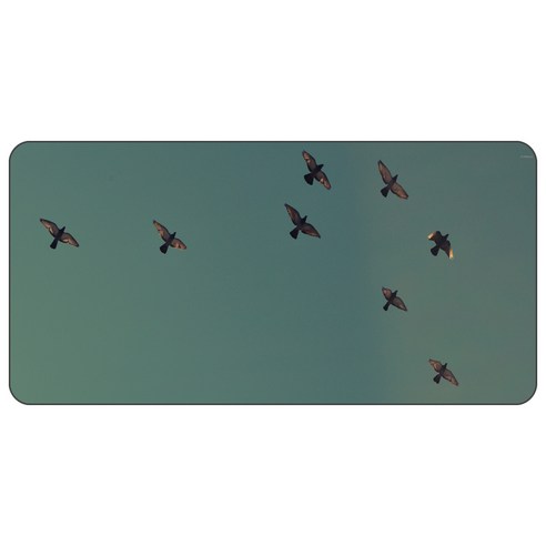 나노씨엔티 게이밍 디자인 데스크매트 120 x 60 cm, 철새, 1개