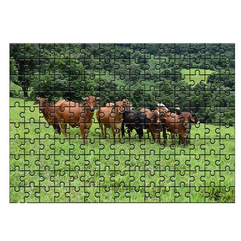 다모아 시험관 직소퍼즐, 150피스, 브라질의목장
