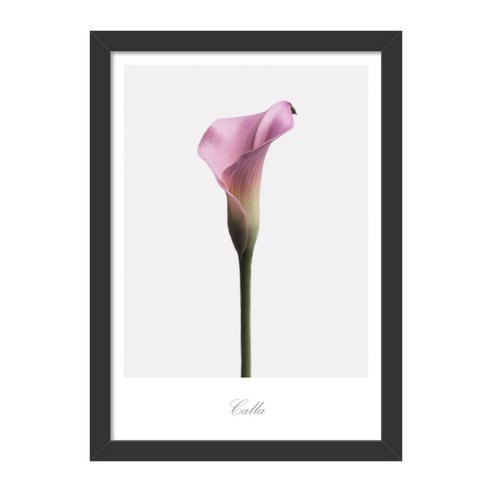 씽크어스 플라워액자 07 카라A, BLACK
