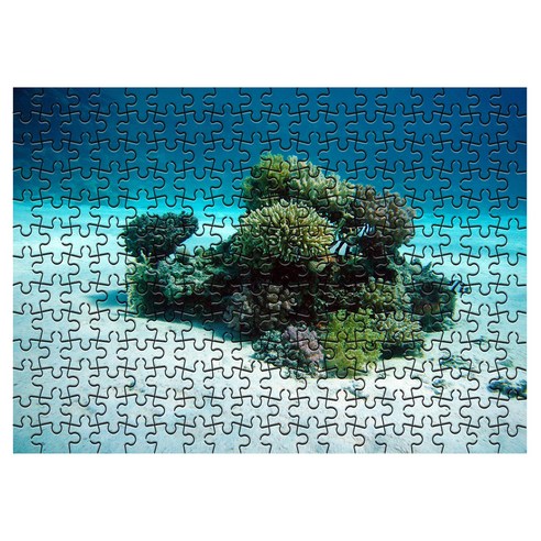 다모아 시험관 직소퍼즐 수중오아이스, 234피스, 혼합 색상