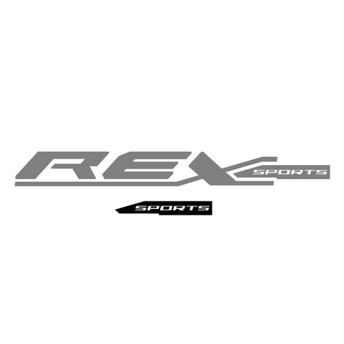 그리븐 렉스턴스포츠 닉네임 REX 데칼 스티커 50cm, 미들그레이 + 무광블랙, 2개입
