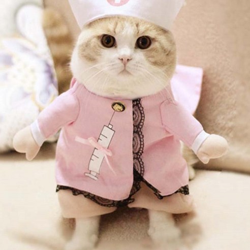 댕댕이 강아지 고양이 코스프레 인형옷, 핑크간호사, 1개
