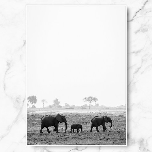 RYMD Elephant 수지, 화이트