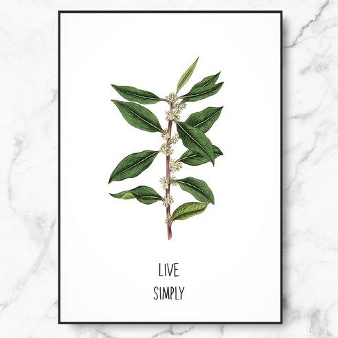 RYMD Live simple green 메탈 액자, 블랙