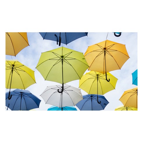 UVDS 주방 아트보드 여러개의 우산, 1개