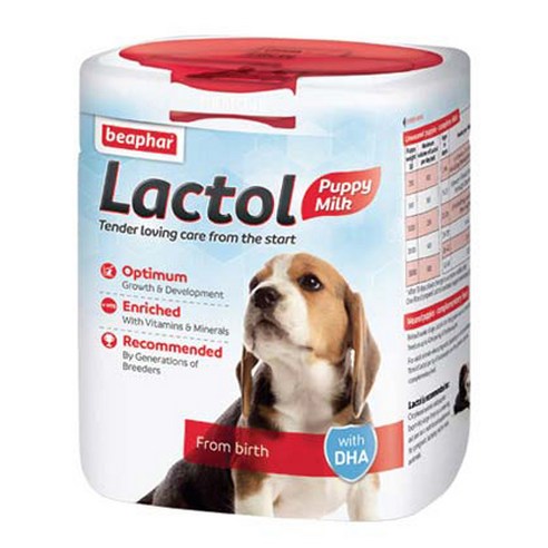 비아파 락톨 퍼피 강아지 영양보충제 500g, 분리유청단백질, 1개 강아지 영양제