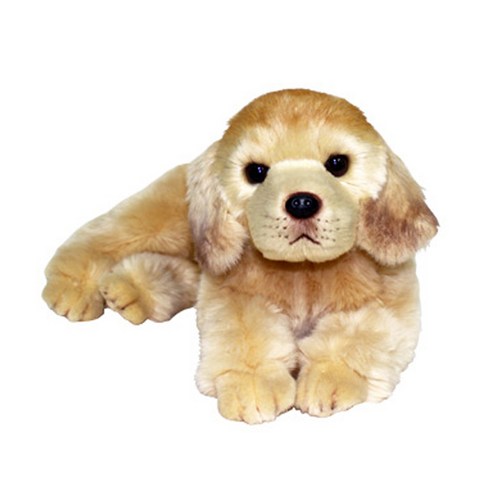 위더펫 골든리트리버 라잉 강아지 인형, 18cm, 혼합 색상 - 가격 변동 추적 그래프 - 역대가 위더펫 골든리트리버 라잉 강아지 인형, 18Cm, 혼합 색상 - 가격 변동 추적 그래프 - 역대가