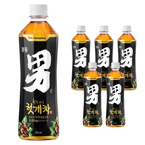 광동 힘찬하루 헛개차, 500ml, 6개