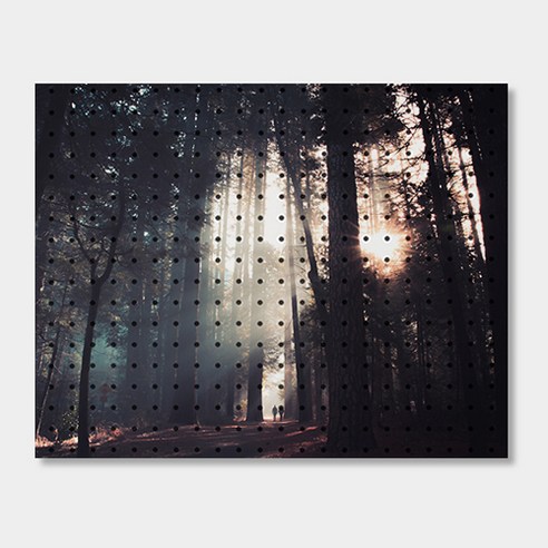 앤비커머스 인테리어 타공판 600 x 500 mm, 1세트, 빛과숲(White)