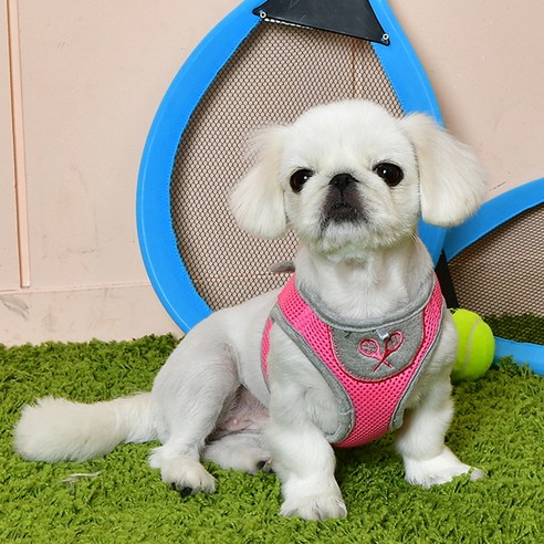 퍼피아 허메스 하네스 B, 핑크