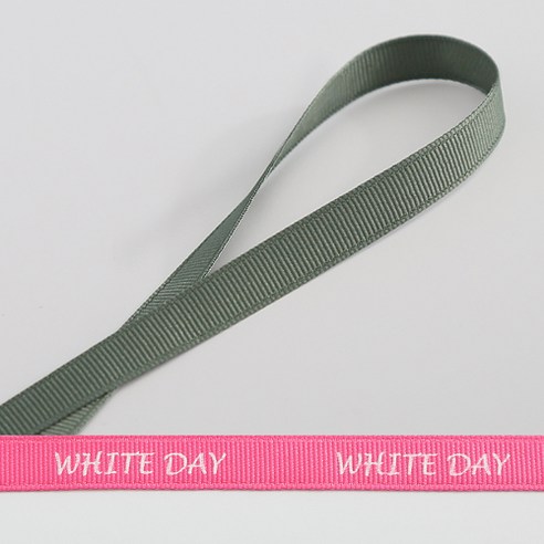 톡톡 DIY 골직리본끈 WHITE DAY, G52솔잎색, 50m