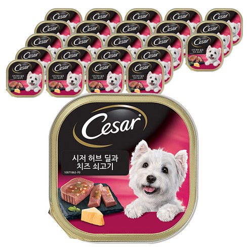 시저 반려견 주식캔 허브 딜과 치즈 쇠고기, 소, 100g, 24개