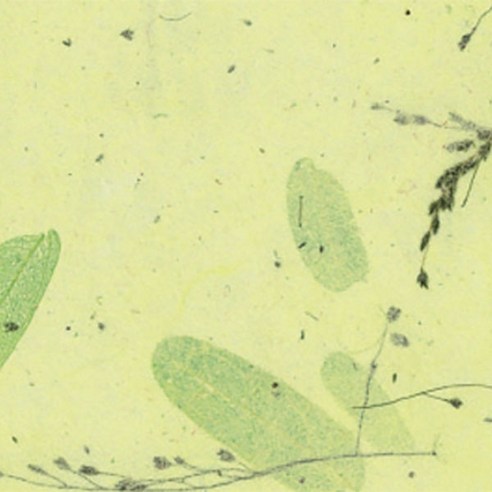 한지로 A4 OA 꽃보라 한지 210 x 297 mm 15p, 34연초록, 10개입