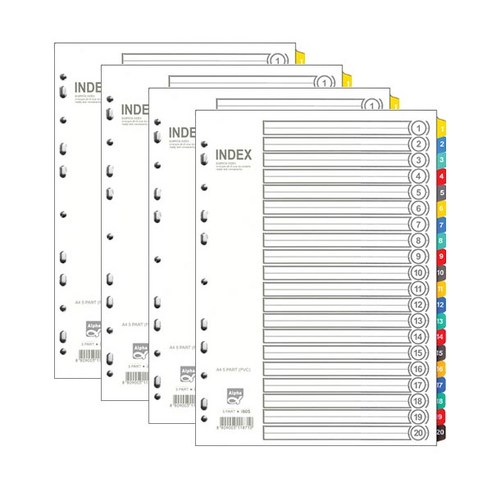 라이크잇 알파 인덱스간지 PVC 20분류 A4 AI-620, 24개입