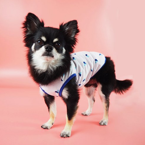 유앤펫 강아지 사랑해 민소매(3XL~6XL) 일반사료, 블루