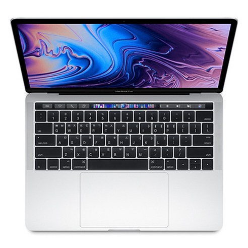 Apple 2019년 맥북 프로 터치바 13, 실버, i5-1.4GHz quad-core, SSD 256GB, 8GB, MUHR2KH/A (Device Only)