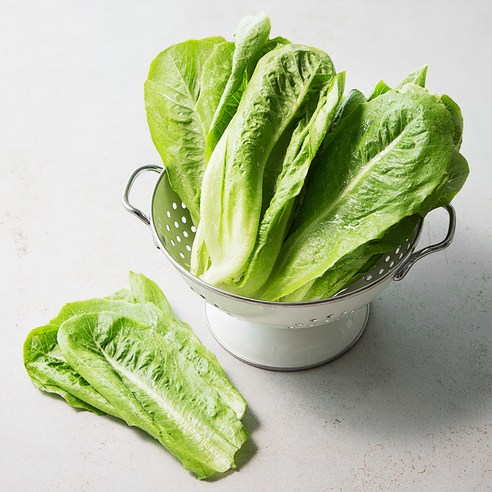 돌 로메인하트, 550g, 1봉