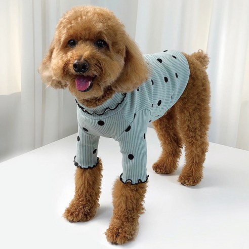 유앤펫 반려 동물 골지 땡땡이 티셔츠, 민트