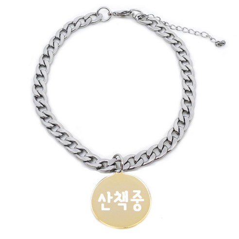 펫츠룩 써지컬 반려동물 체인A 원형 산책중, 골드, 1개