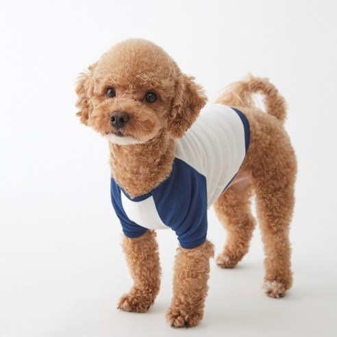 러빙독 아메리칸 개패럴 강아지 티셔츠, 블루